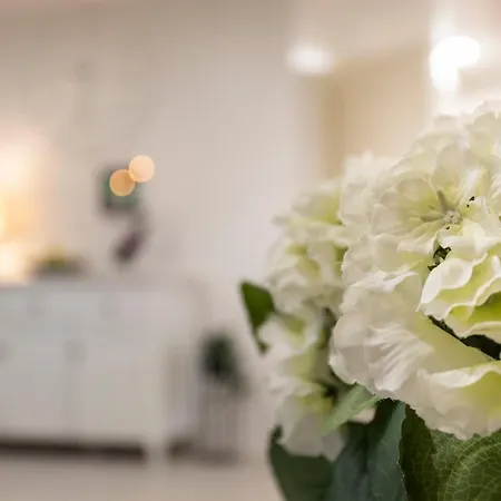 Vasko Luxurious Suites, Firefox