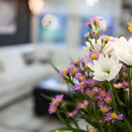 샬레 Vasko Luxurious Suites, Firefox