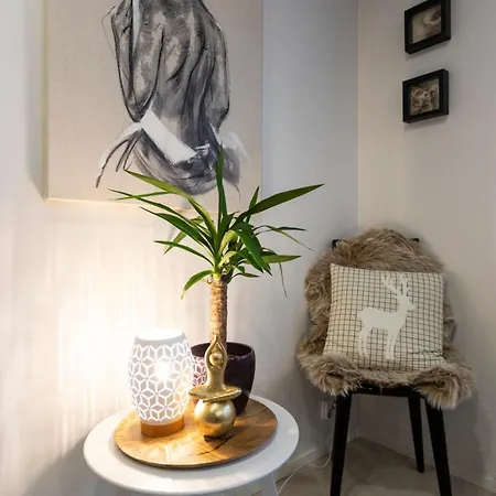 Vasko Luxurious Suites, Firefox * 로바니에미