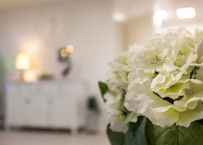 Vasko Luxurious Suites, Firefox