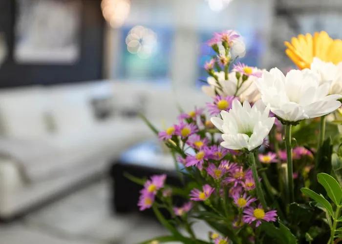 木屋 Vasko Luxurious Suites, Firefox